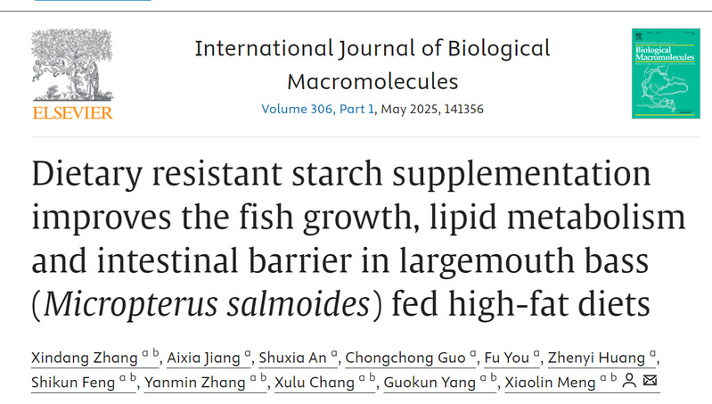 本课题组在《Internati...