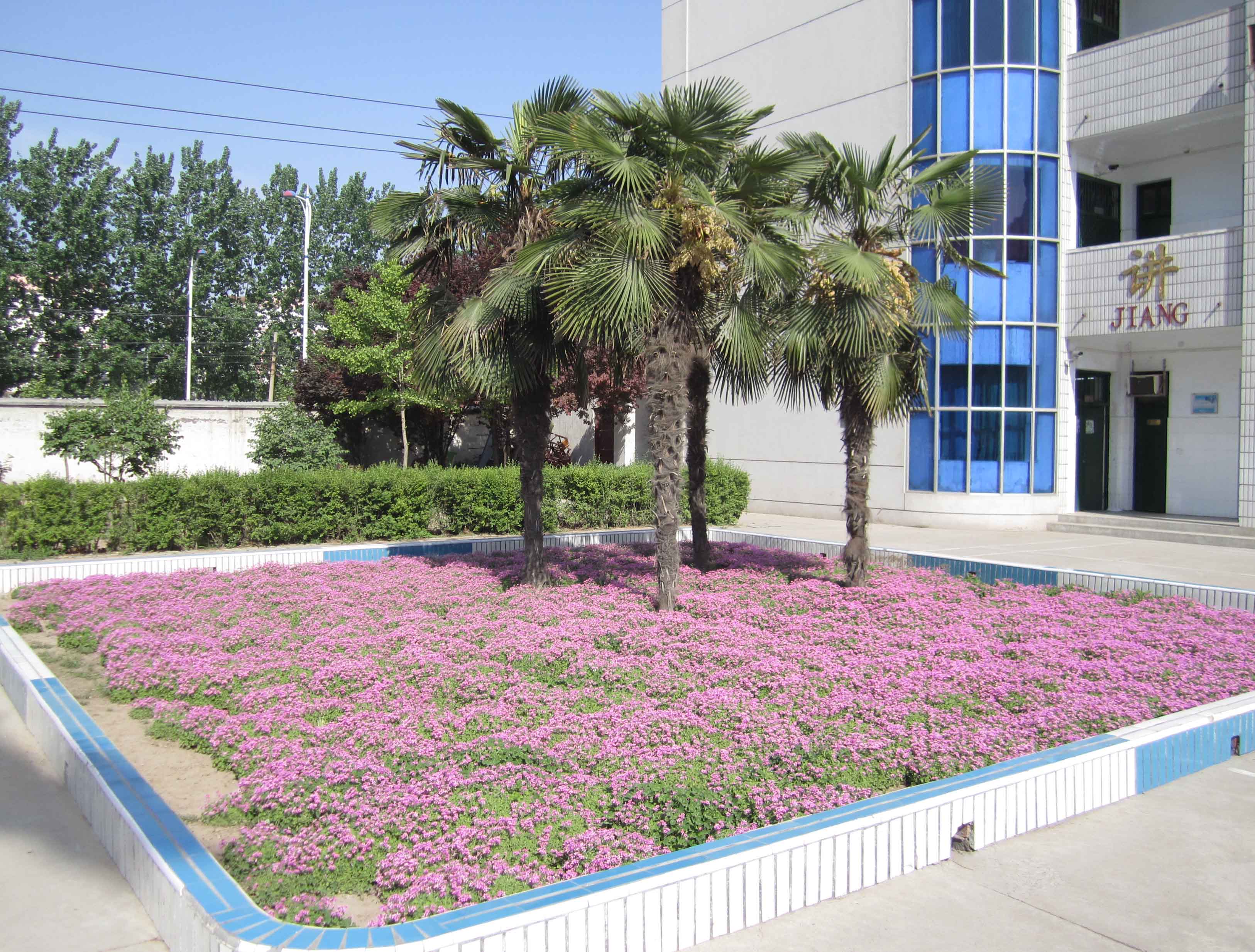 夏景     摄影：许志强